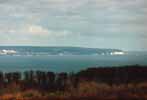 Kreidefelsen // Chalk-cliffs